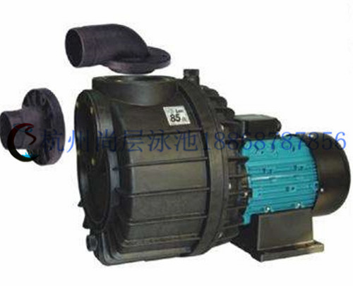 西班牙“亞士霸”專業水療泵Nadorself